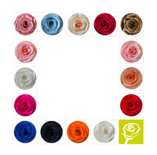 Rosen Auswahl Strauß