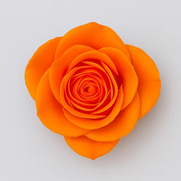 Bouquet de roses Aloha Image du produit 2