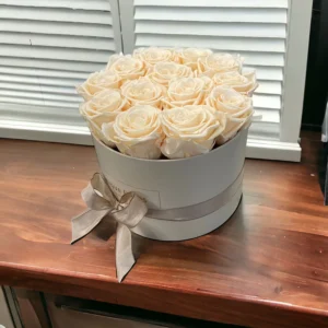 Infinity Roses en boîte gris clair, roses en champagne – Image 1