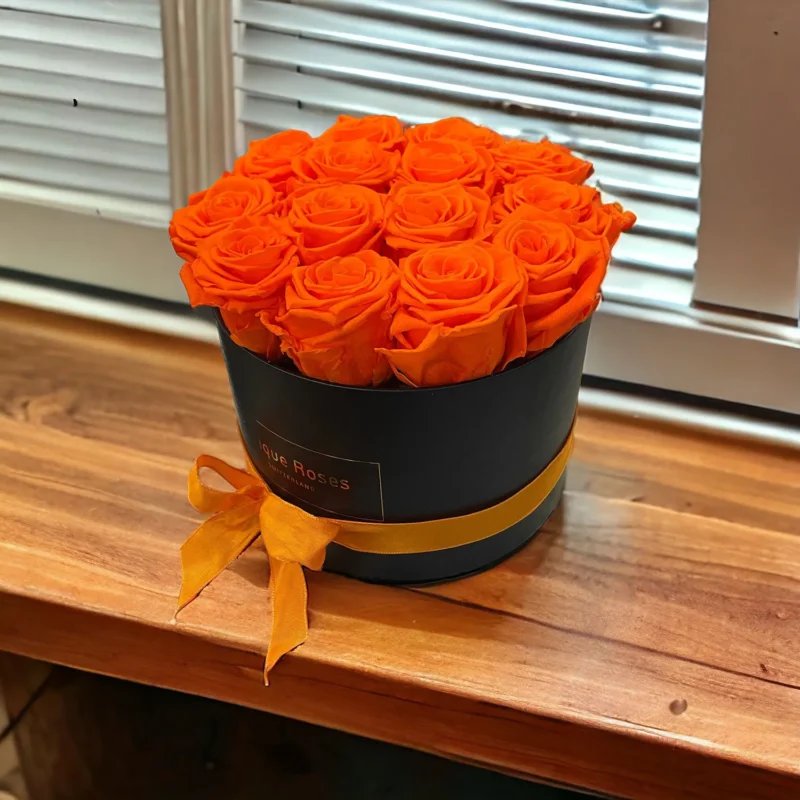 Rose Infinity in scatola nera, rose in mandarino