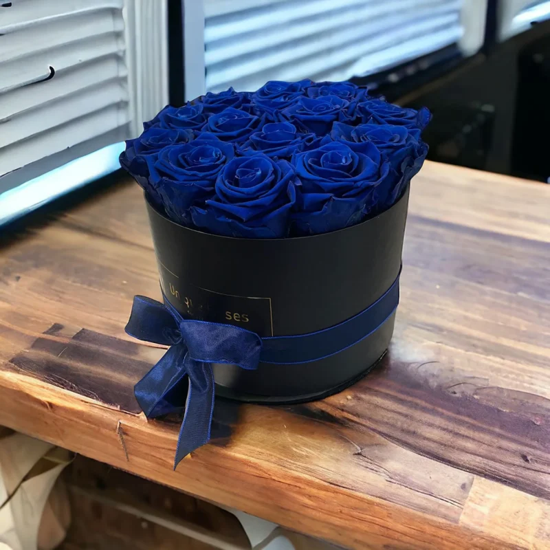 Rose Infinity in scatola nera, rose blu royal
