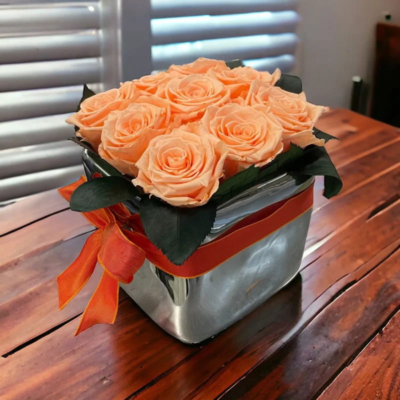 Cubo con 9 rose - Albicocca