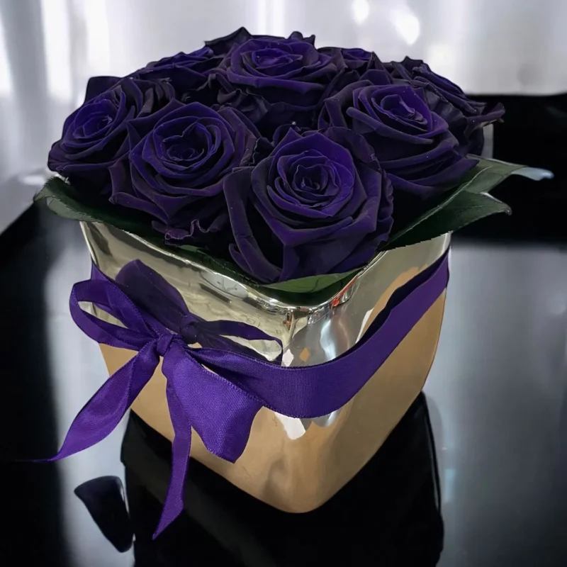 Cubo con 9 rose - melanzana