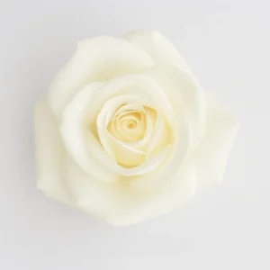 Playa Blanca – Bild 2