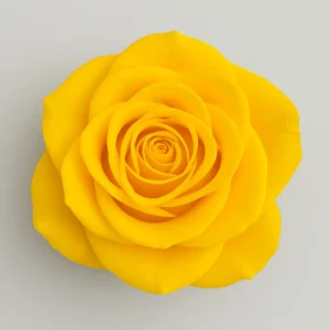 Sole sorridente - immagine 2