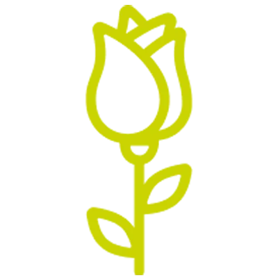 Schnittfrisch geliefert Icon